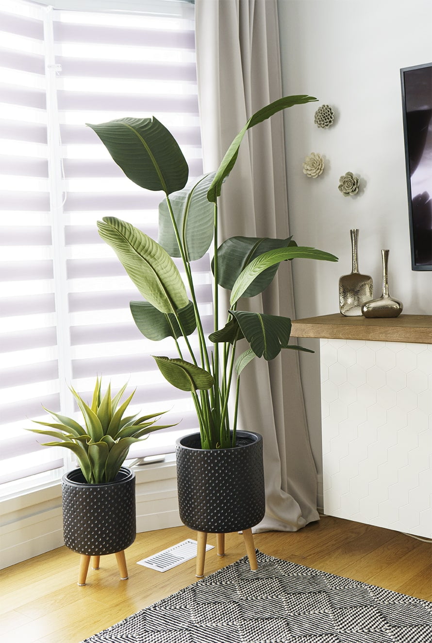 Oiseau du paradis - Décors Véronneau