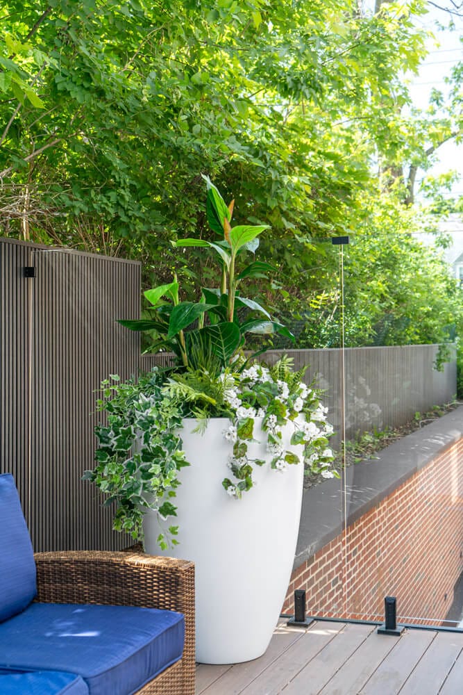 Jardinière de géranium blanc et lierre - Décors Véronneau