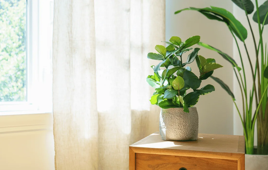 How to Make Artificial Plants Look Real? Décors Véronneau