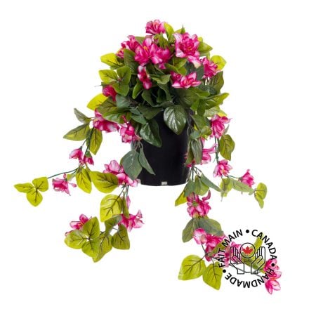 Azalées en pot de culture noir, 22 x 12