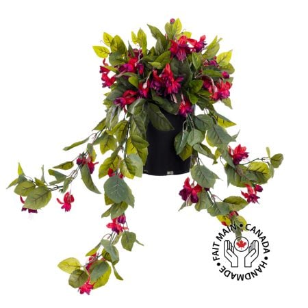 Potted fuchsias, 22 x 12
