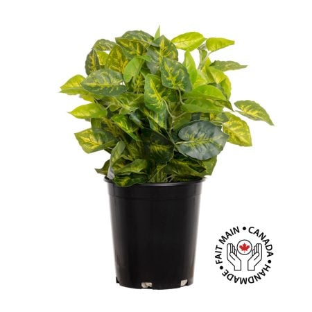 Plant de nephthytis artificiel en pot, 15 x 12