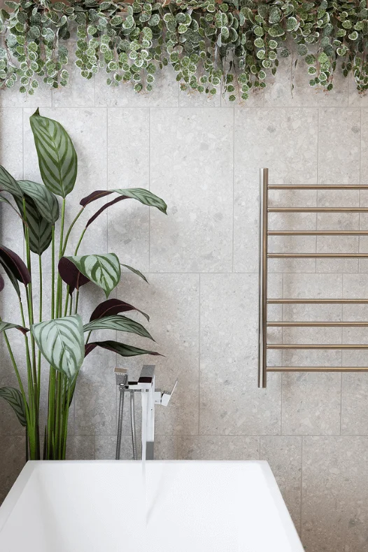 Cténanthe dans une salle de bain - Décors Véronneau