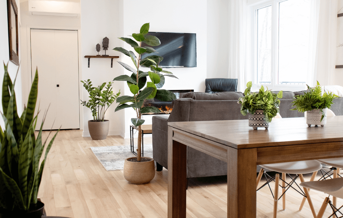 Plantes vertes artificielles dans une cuisine - Décors Véronneau