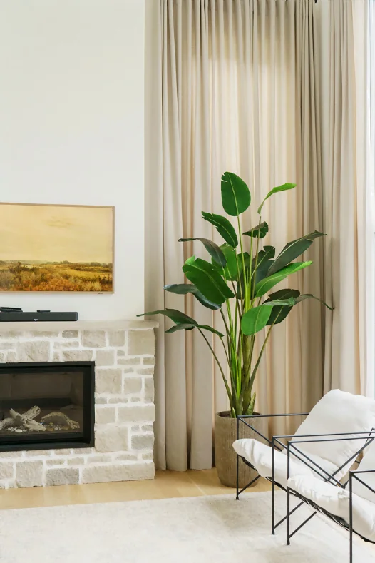 Oiseau du paradis dans un salon - Décors Véronneau