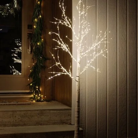 Bouleau blanc extérieur à DEL, blanc chaud, 60