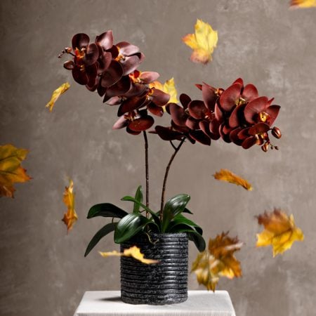 Artificial orange orchid, 30