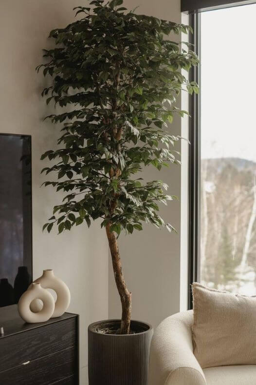 Arbre intérieur artificiel - Décors Véronneau