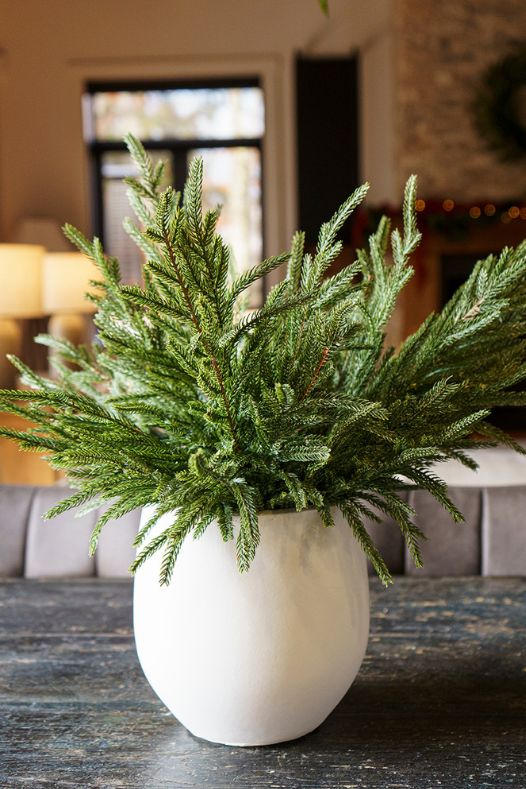 Branches de sapinage dans un pot blanc - Décors Véronneau