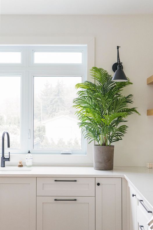 Palmier artificiel dans une cuisine - Décors Véronneau