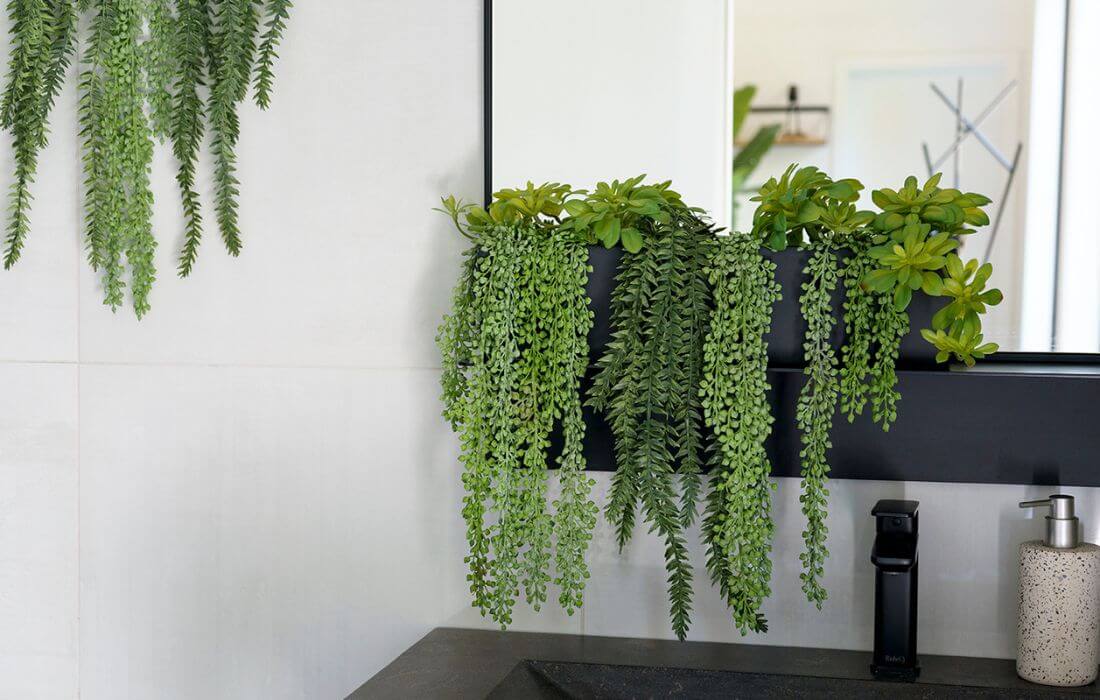 Plantes grasses dans une salle de bain moderne - Décors Véronneau