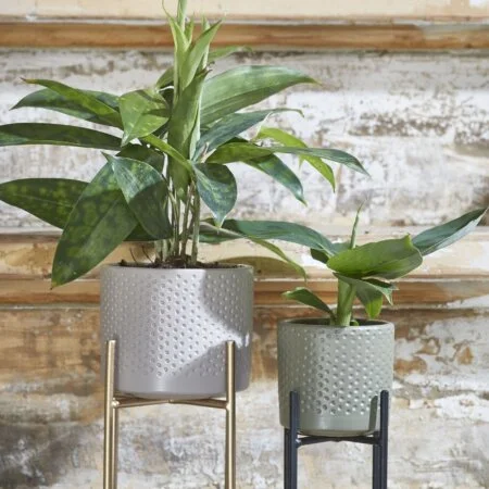 Support en métal or pour plante, 5,5 x 5,5'' - Décors Véronneau