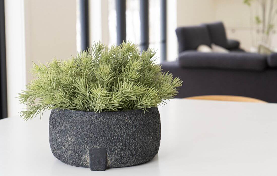 Cache-pot gris en béton avec sapinage - Décors Véronneau