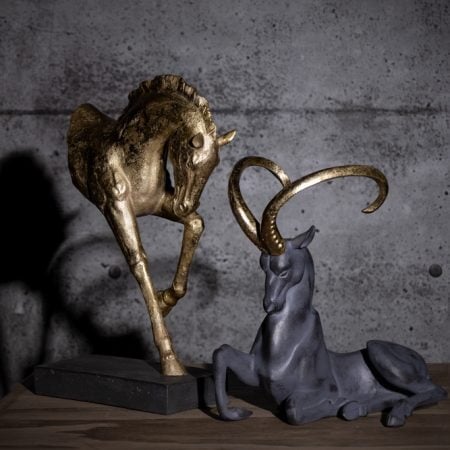 Antilope noir à cornes dorées, 13 x 12