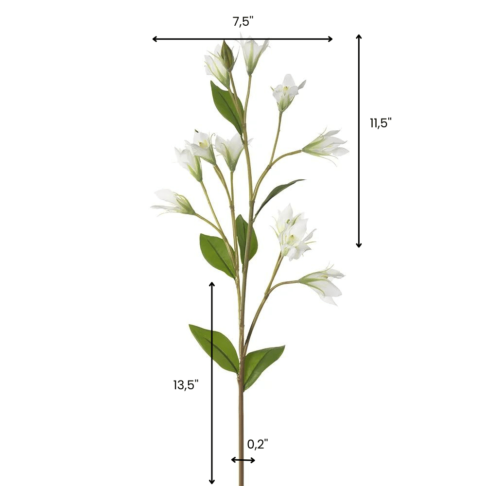 Fleur campanule - Décors Véronneau