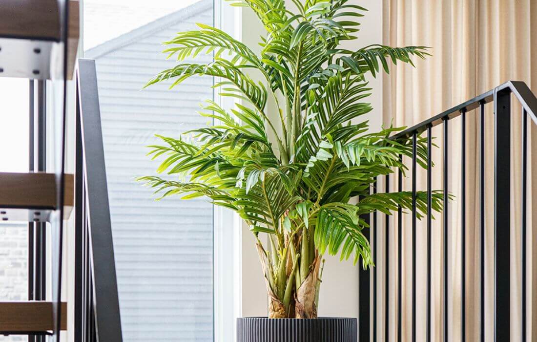 Palmier dans un escalier - Décors Véronneau