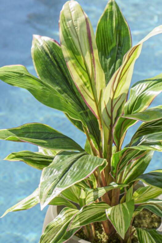 Plante artificielle extérieure Véronneau - Décors Véronneau