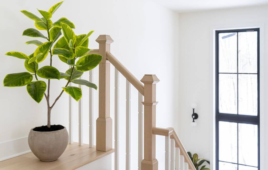 Plante verte en pot dans un coin dans la cage d'escalier - Décors Véronneau
