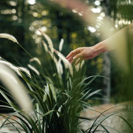 Tige d'herbes de graminée artificielle, 41'' - Décors Véronneau