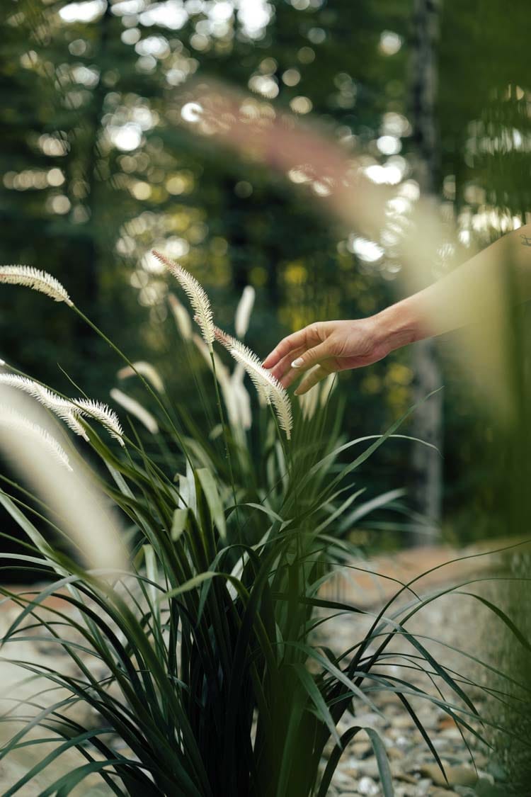 Herbes de graminée extérieures artificielles - Décors Véronneau