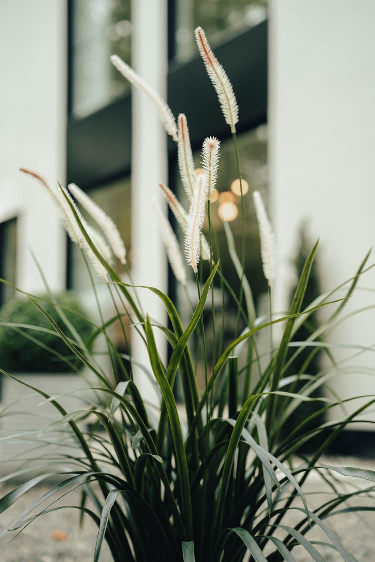 Herbes de graminée extérieures artificielles - Décors Véronneau