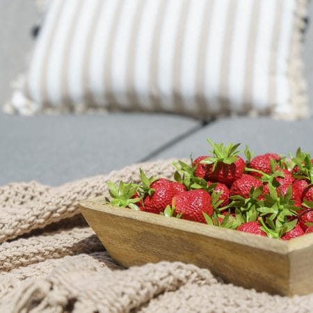 Sac de 24 fraises rouges artificielles, 1,5'' - Décors Véronneau