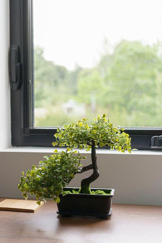 Bonsaï dans une chambre à coucher - Décors Véronneau