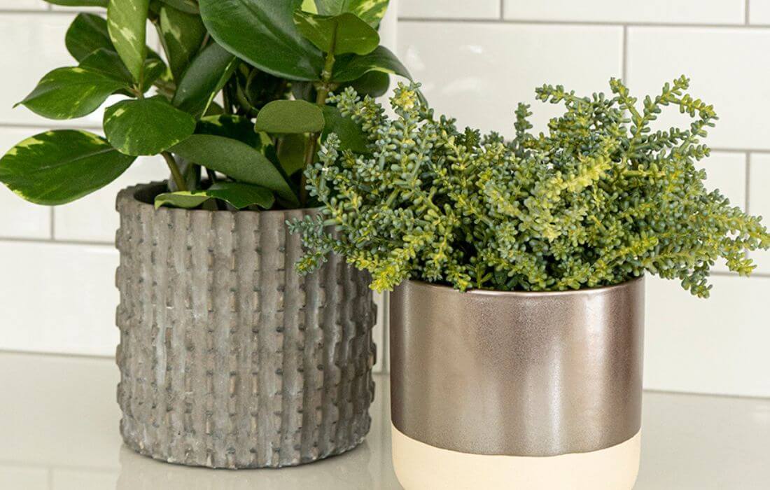 Styles de cache-pots intérieurs avec plantes - Décors Véronneau