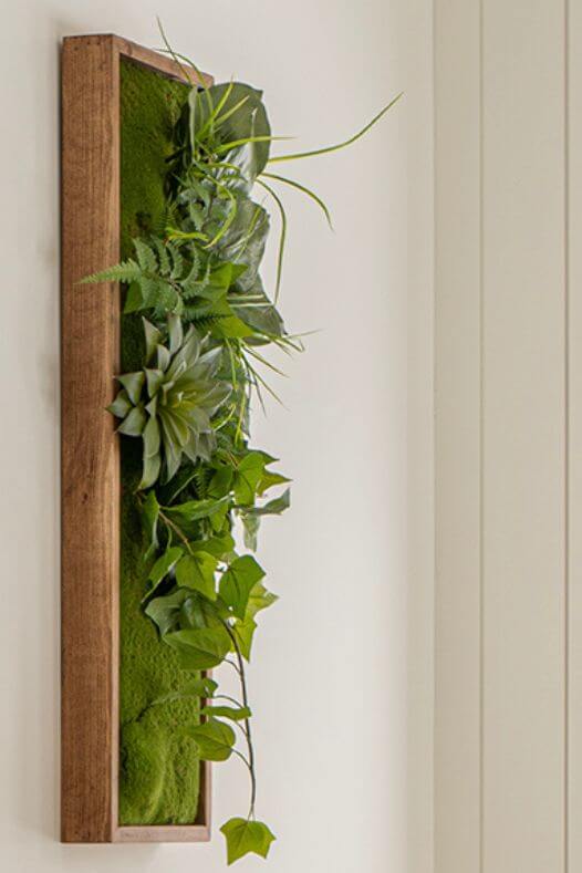 Cadre végétal vert - Décors Véronneau