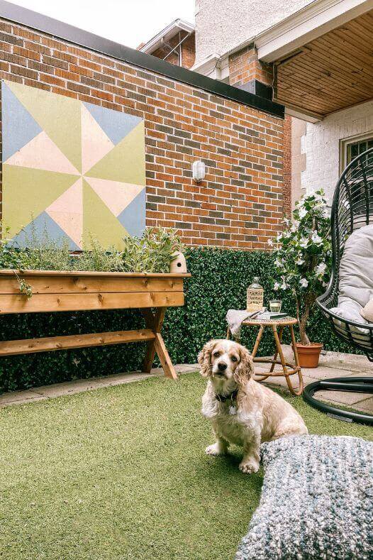 Chien dans une cour extérieure avec plantes - Décors Véronneau