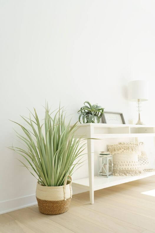 Décor boho avec herbes vertes - Décors Véronneau