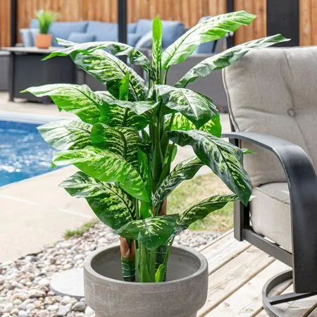 Plante artificielle extérieure, dieffenbachia, 48'' - Décors Véronneau