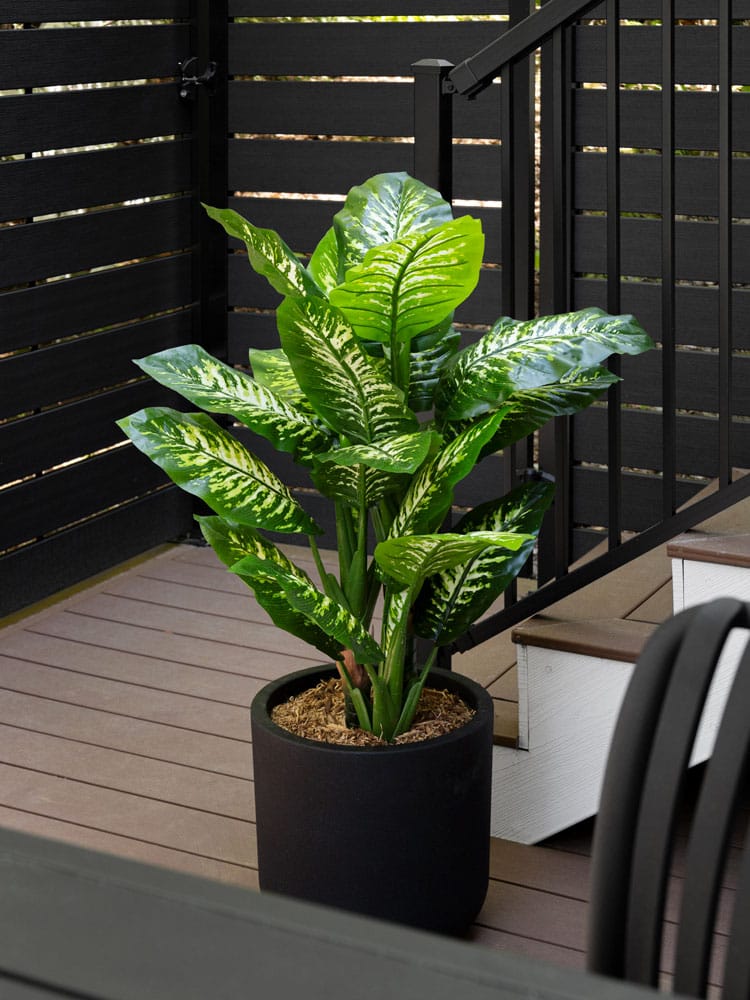 Dieffenbachia artificial outdoor plant, 48'' - Dcors Vronneau
