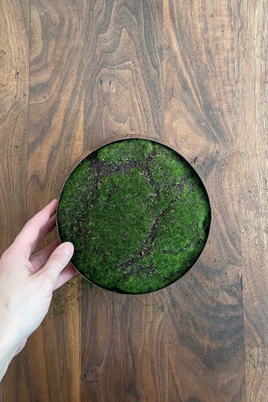 Bol de mousse verte décoratif - Décors Véronneau