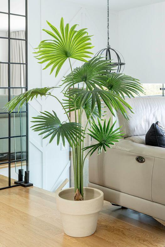 Palmier californien artificiel dans un salon - Décors Véronneau