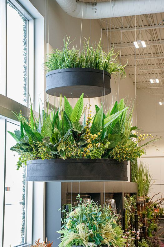 Plantes suspendues - Décors Véronneau