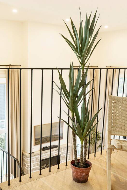 Yucca artificiel dans un escalier - Décors Véronneau