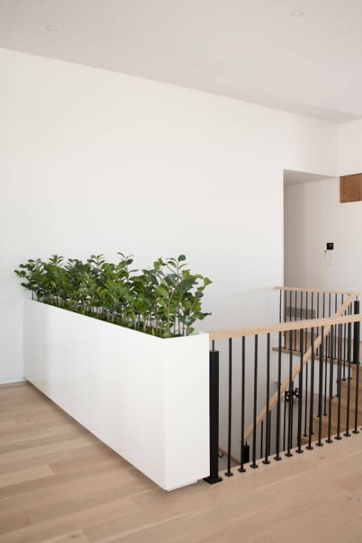 Zamioculcas artificiels rampe d'escalier - Décors Véronneau