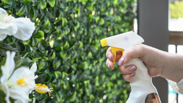 Protecteur UV sur treillis - Décors Véronneau