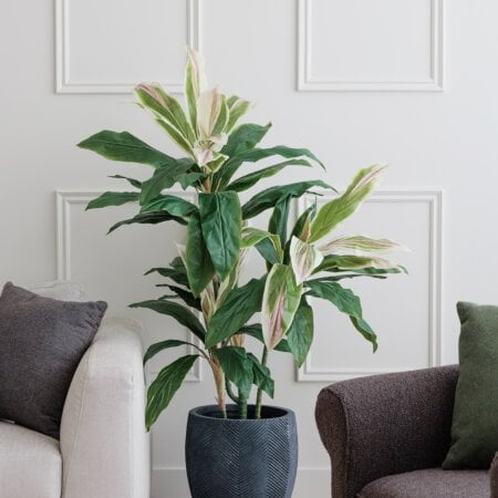 Artificial green and cream cordyline plant, 55