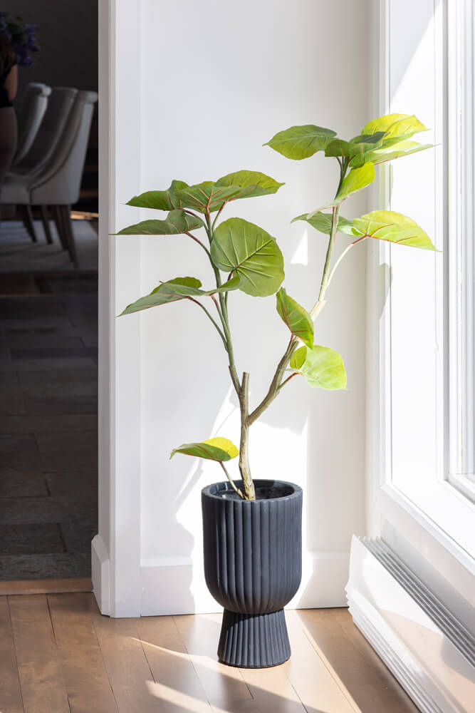 Ficus artificiel en pot noir sur pied - Décors Véronneau