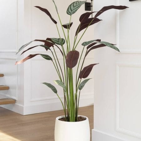 Plante artificielle cténante, 63