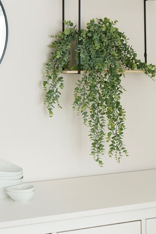Eucalyptus artificiel retombant sur tablette murale - Décors Véronneau