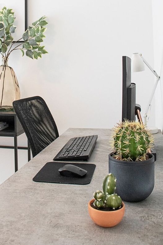 Cactus en pot sur un bureau - Décors Véronneau