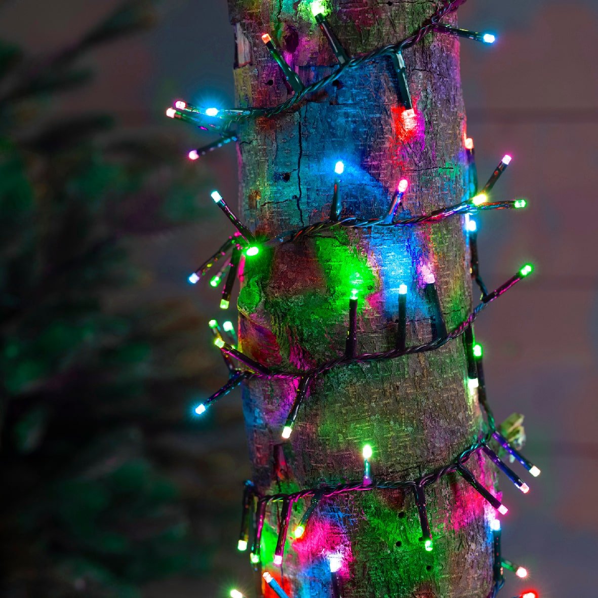 Lumières de Noël sur tronc d'arbre multicolores - Décors Véronneau