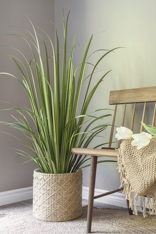 Herbes vertes en panier de rotin - Décors Véronneau