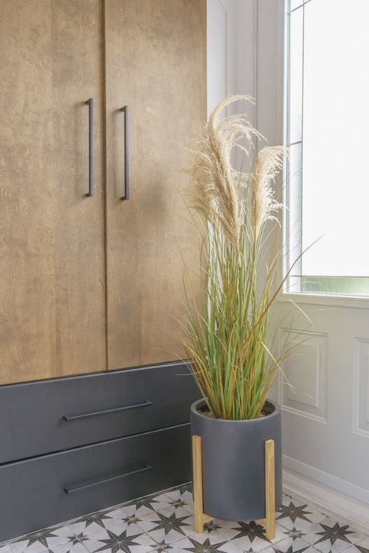 Plant de pampas en pot sur pied - Décors Véronneau