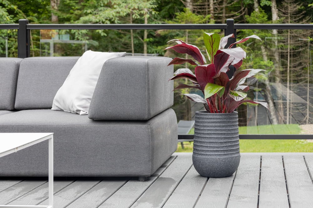 Cordyline extérieure sur une terrasse - Décors Véronneau