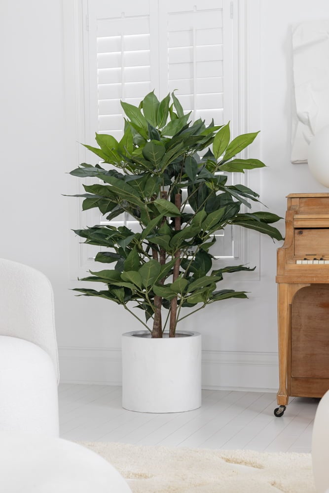 Buisson schefflera artificiel, 48" – Image 3 - Décors Véronneau