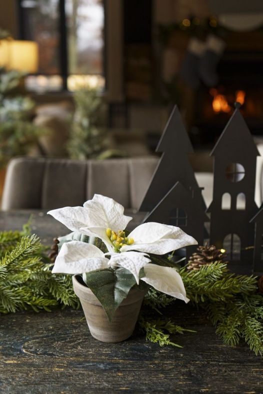 Centre de table de poinsettias blancs - Décors Véronneau